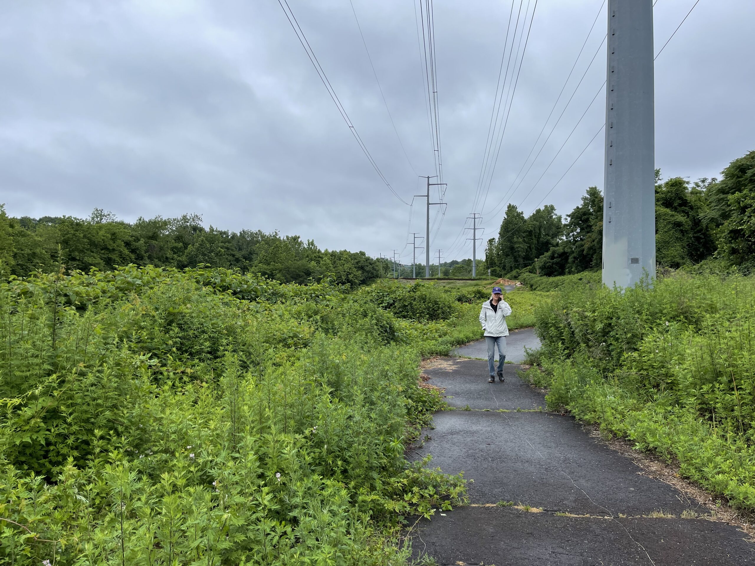 Woman walking on the Norwalk River Valley Trail in Broad River neighborhood.