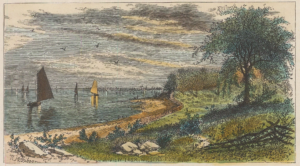 A scenic landscape features sailboats and a curving shoreline bordered by trees. Birds fly in the sky dotted with clouds, creating a serene atmosphere.