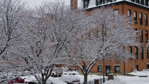 Snow-covered trees with bare branches stand in front of a brick building, cars parked below, and snow piled on the ground, creating a wintery urban scene.