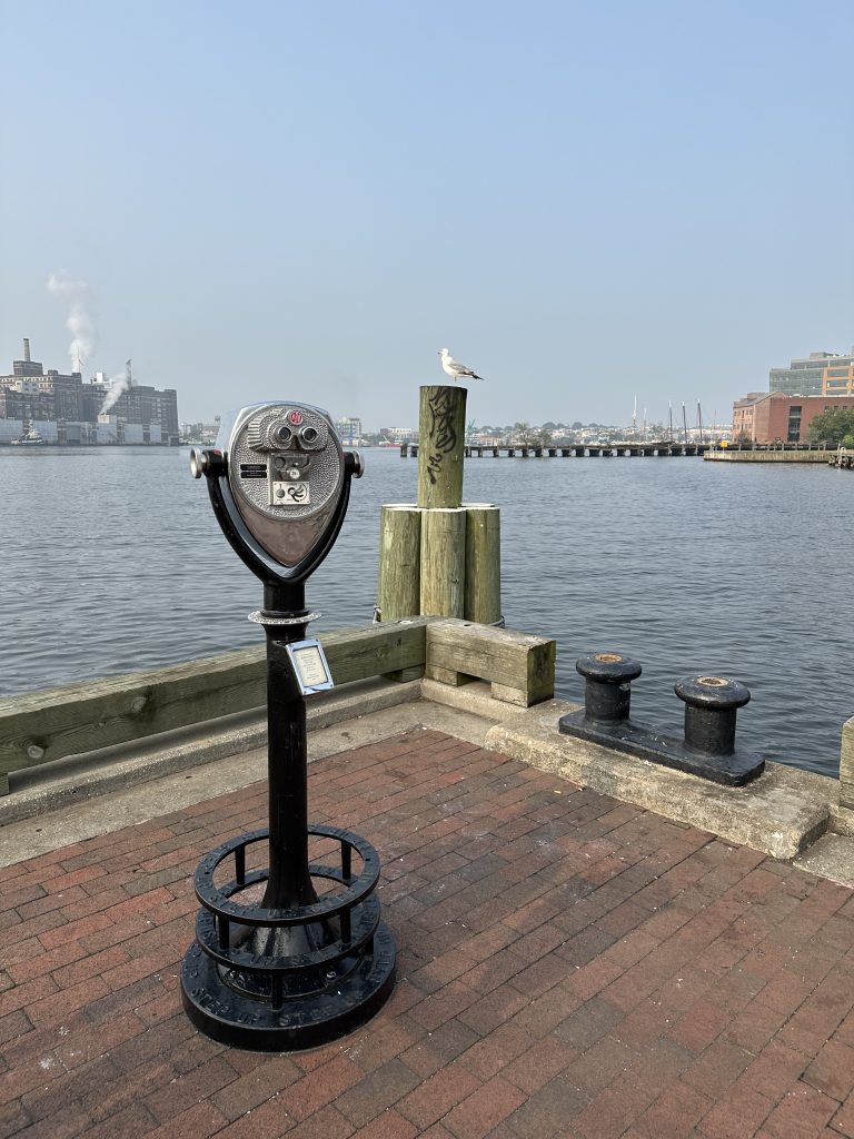 A coin-operated binocular viewer stands on a brick waterfront promenade, facing a river. A seagull is perched on a post nearby, with industrial buildings and a dock visible across the water under a clear sky.